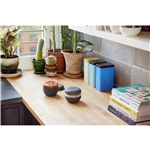 W&P Seal Tight Plastic Bowl 24 oz