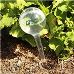 Evergreen Self-Watering Globe