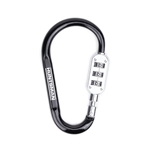 SecureLink Large Carabiner Keychain