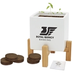 Large Ceramic Planter