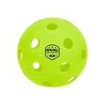 Pickleball 26-Hole Indoor Ball