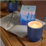 Modern Sprout® Garden Vibes Candle/Planter