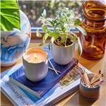 Modern Sprout® Garden Vibes Candle/Planter