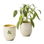 Modern Sprout® Garden Vibes Candle/Planter