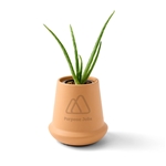 Modern Sprout® Modern Terracotta Grow Kit Aloe