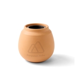 Modern Sprout Modern Terracotta Grow Kit Cactus