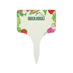 Evergreen Garden Stake (Single)