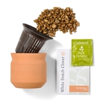 Modern Sprout Tiny Terracotta Lucky to Have You