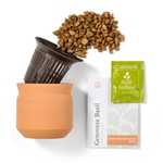 Modern Sprout Tiny Terracotta Big Congrats