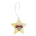 Star Acrylic Ornament